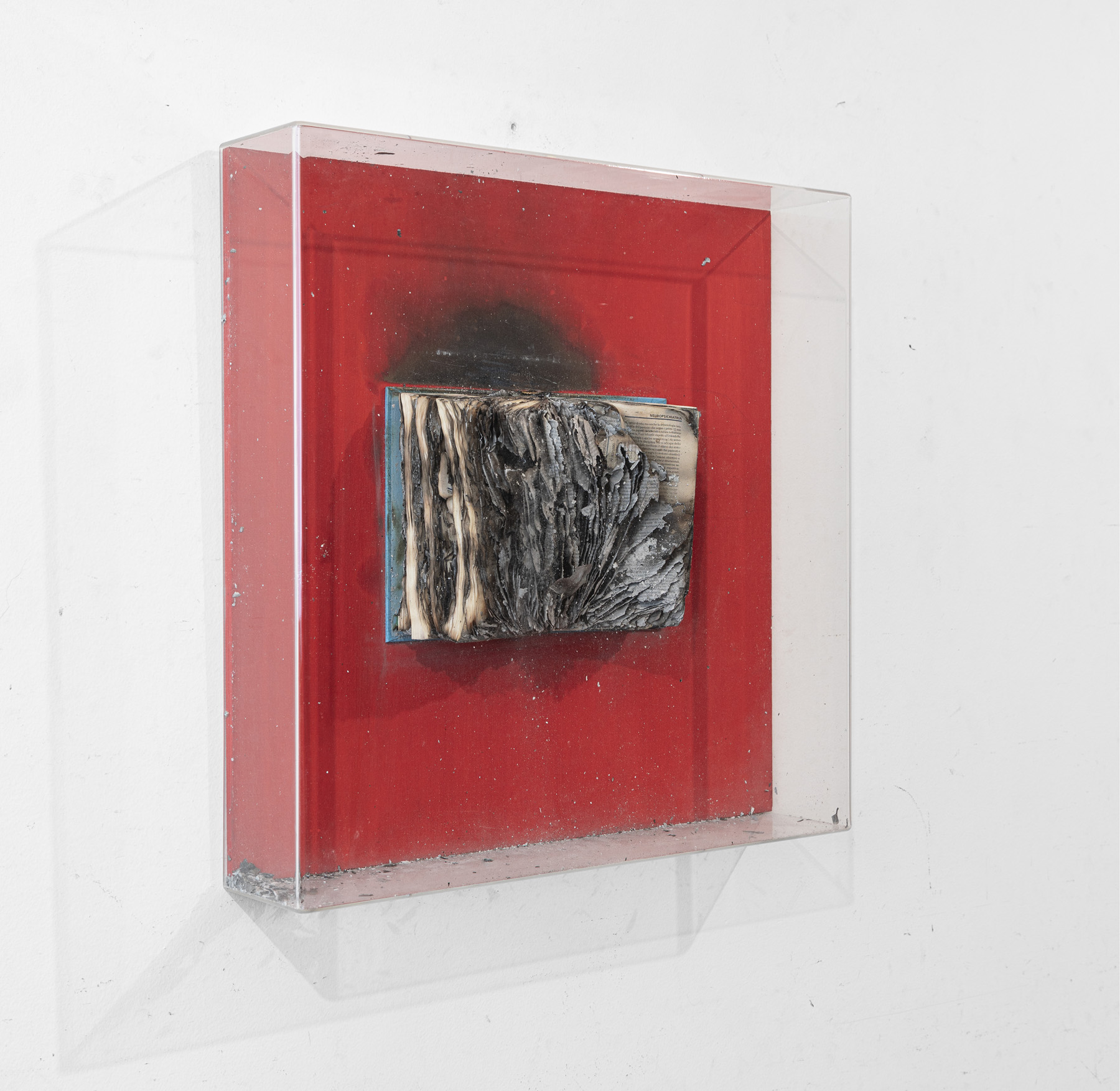 BERNARD AUBERTIN (1934-2015) - Livre Brûlé, 2009