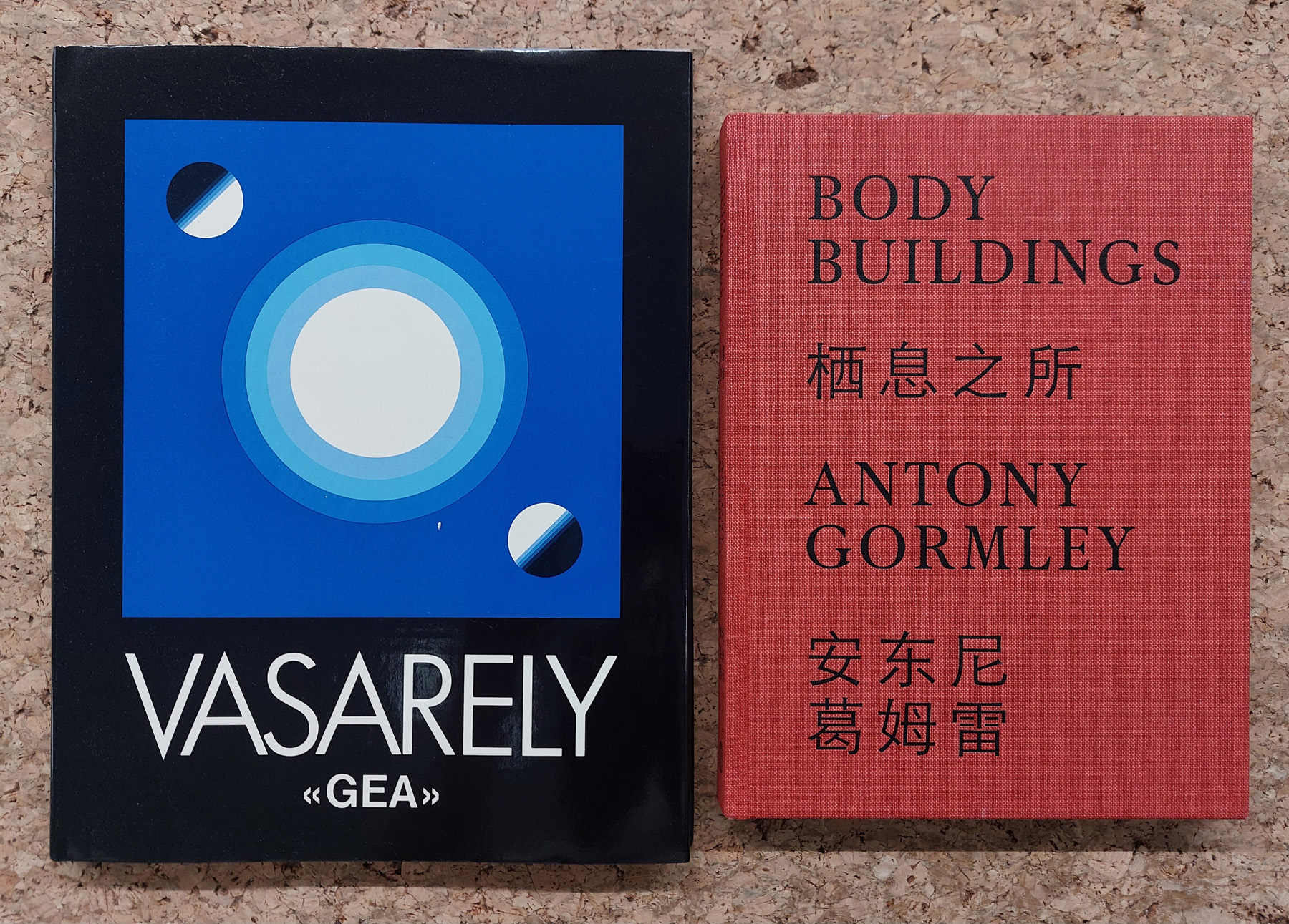 VICTOR VASARELY E ANTONY GORMLEY - Lotto unico di 2 cataloghi